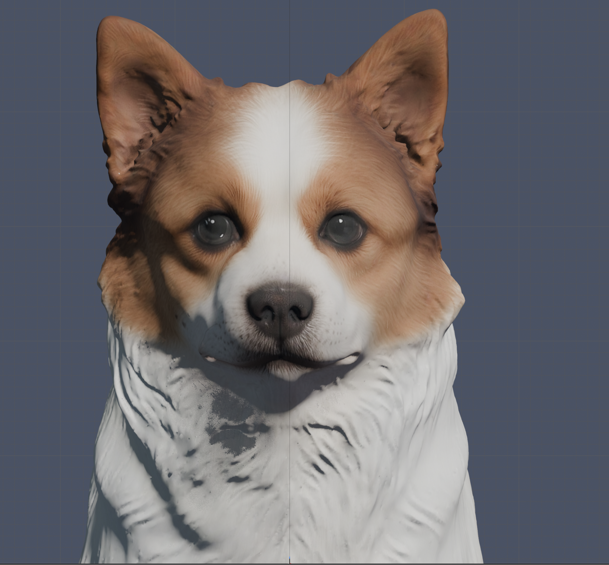 Jindol 3D model shape test